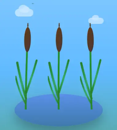Three Cattail Monte